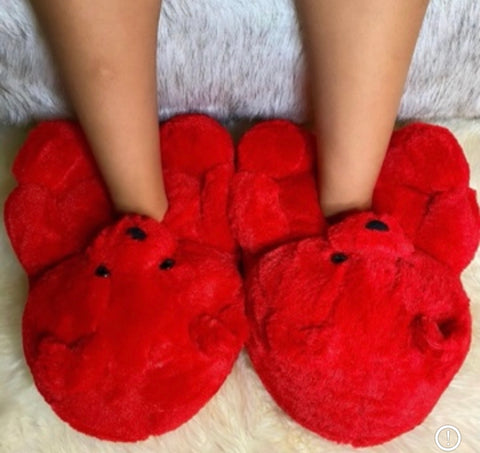 Teddy Bear Slippers